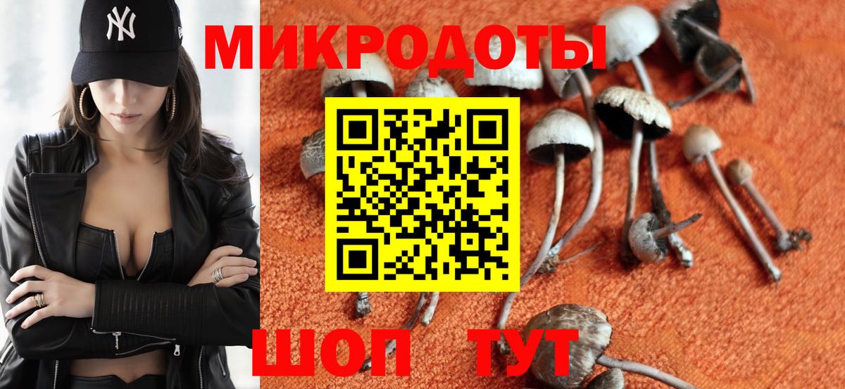 Элиста  Псилоцибиновые грибы Psilocybe  Вход с VPN 