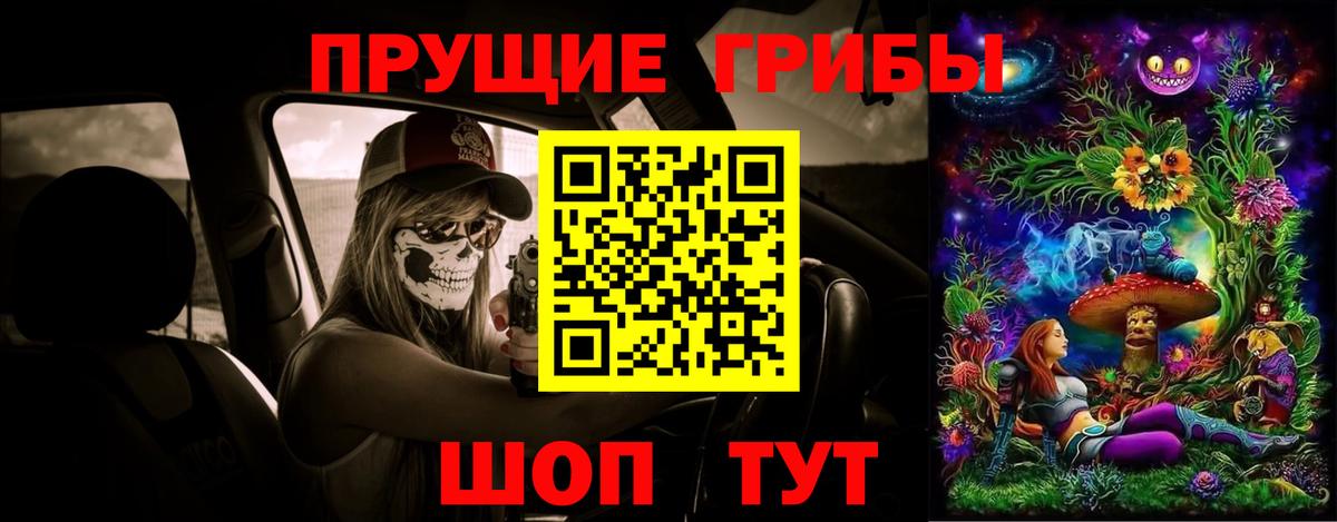 Галлюциногенные грибы прущие грибы Элиста
