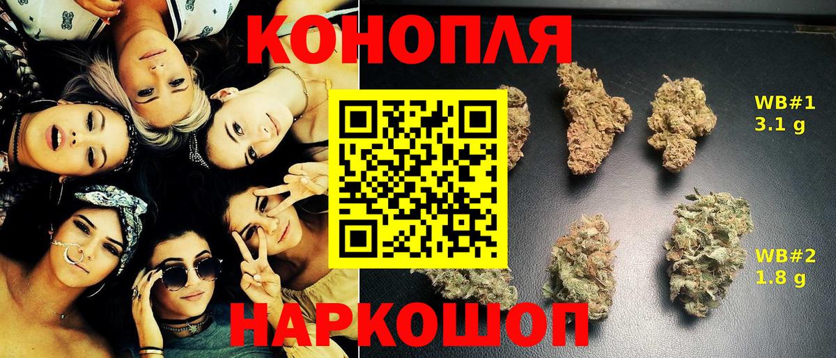 Бошки марихуана конопля Элиста